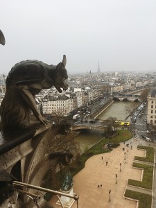 Processed with VSCO with m5 preset